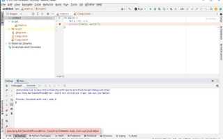 Как запустить программу в clion