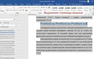 Как выделить страницу в ворде