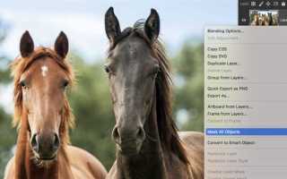Свойства интерактивной формы photoshop как открыть