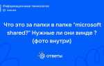 Microsoft shared что это за папка