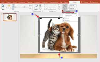 Как изменить форму изображения в powerpoint