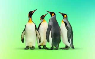 Security Week 2629: 16-летняя уязвимость в гипервизоре Linux KVM