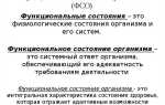 На сколько групп можно разделить фсо по иерархии