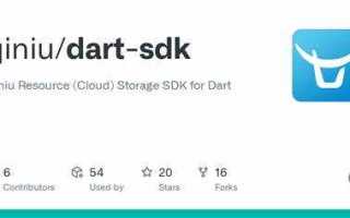 Dart sdk как работать с программой