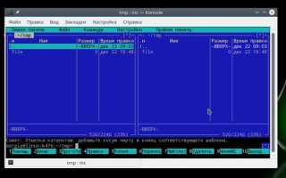 Как запустить файл в linux