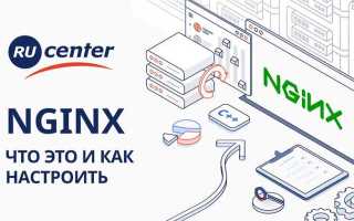 Ngenix net что это