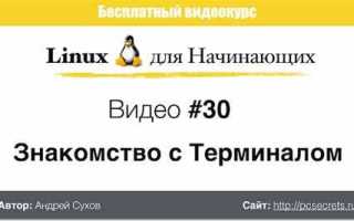 Как перенести файл в линукс через терминал