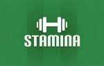 Stamina что это за программа