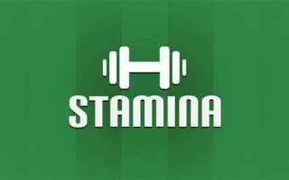 Stamina что это за программа