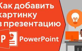Как выбрать тему презентации в powerpoint