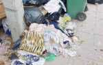 Global trash что это за папка