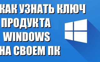 Как узнать ключ windows 11