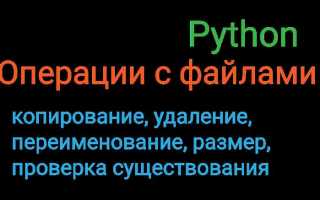 Python как проверить существует ли файл