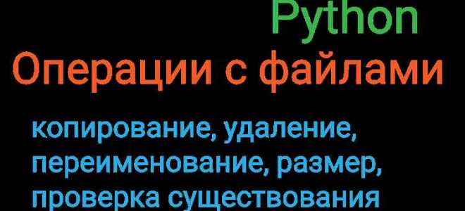 Python как проверить существует ли файл