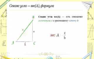 Что такое sec в photomatch