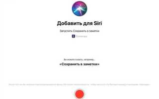 Куда вводить чит коды на ios