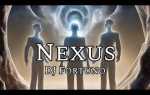 Nexus что это за программа