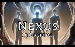 Nexus что это за программа