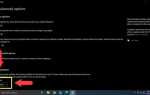 Update notifier что это за программа