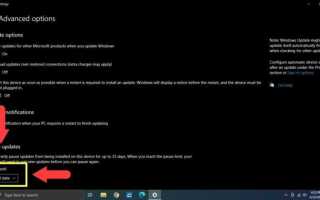 Update notifier что это за программа
