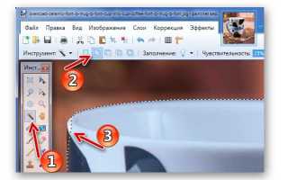 Как отзеркалить выделенную область в paint net