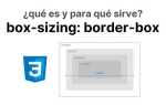 Box sizing border box что это