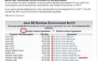 Jre x86 by jetbrains что это