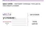 While 1 что означает