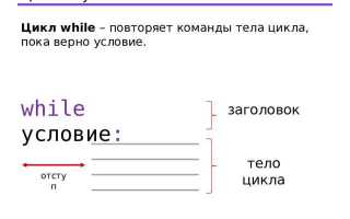 While 1 что означает
