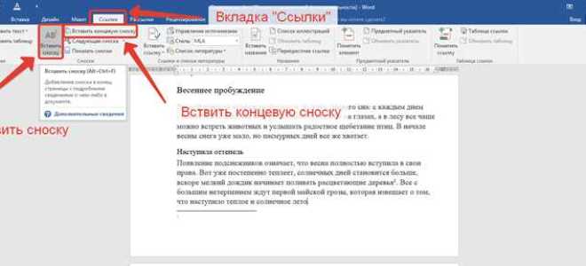 Как сделать сноску в ворде