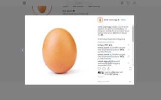 Egg info что это