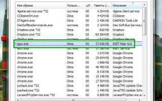 Eset main gui что это