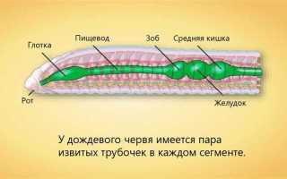 С какой ячейки начали выделение