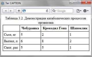 Caption html что это