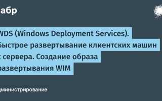 Wdisystemhost что это за служба