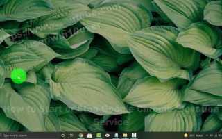 Google chrome elevation service что это за служба