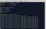 Как узнать ip адрес сайта linux