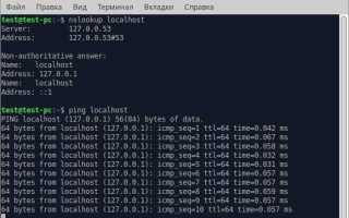 Как узнать ip адрес сайта linux