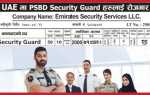 Uae security service division что это