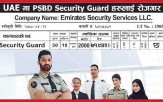 Uae security service division что это