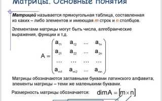 Как записать матрицу в с