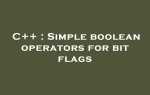 Bool flag c что это