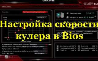 Force bios keep current что выбрать