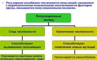 Определи сколько выделено фрагментов дальнейшее развитие