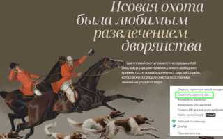 Как скачать все картинки с сайта