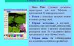Microsoft paint является представителем какой графики