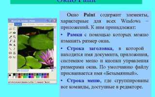 Microsoft paint является представителем какой графики