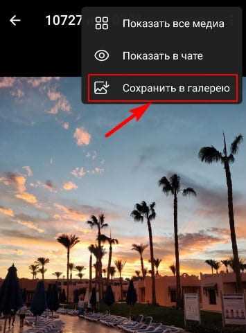 Как из телеграмма переслать фото в галерею Как из телеграмма переслать фото в галерею