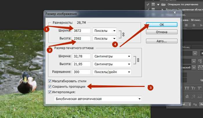 Корректировка разрешения (DPI) для печати и экрана