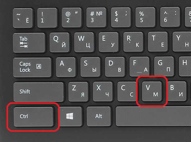 Как выделить текст с клавиатуры в Windows